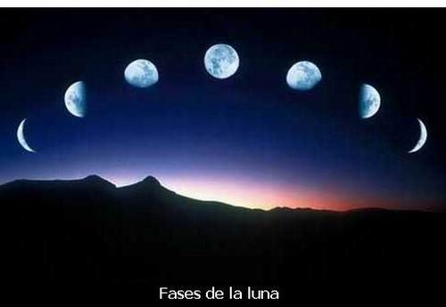Fases de la luna.jpg